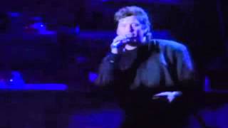 David Hasselhoff  -  &quot;Stand By Me&quot; #2  live 1990