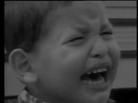 VIEJO AMIGO - BOLERO - JOSÉ ARBEY