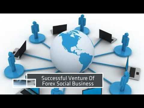 Few Fact About Best Social Trading Platform