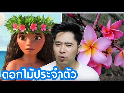 เมล็ดแฟลกซ์แรง ท้องมานและความแข็งแรง