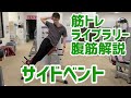 【腹筋解説】サイドベント※ベンチ使用【筋トレライブラリー】