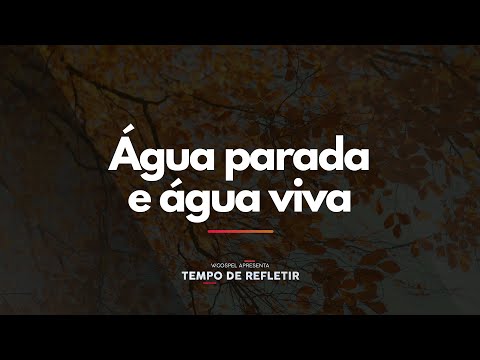 [Tempo de Refletir] Água parada e água viva