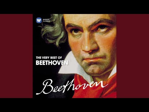 Symphony No. 7 in A Major, Op. 92: II. Allegretto (Excerpt)