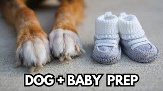 How to Prepare Your Dog for a Baby: Advice From a Mom & Dog Trainer
