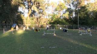 Cody Week 3 Sequence 3