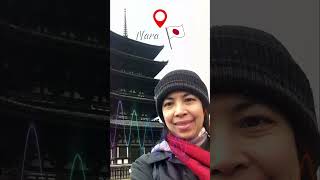 Download lagu FADED TABATA MIX | NARA JAPAN mp3