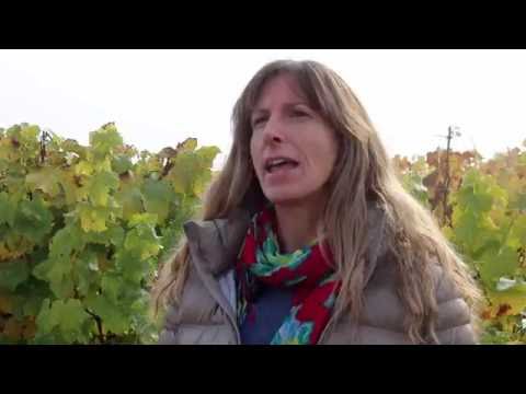 download lagu mp3 mp4 Vina Leyda, download lagu Vina Leyda gratis, unduh video klip Vina Leyda