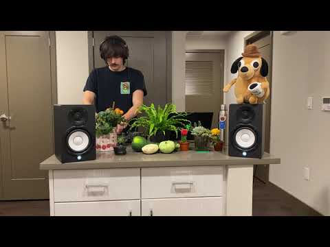 Lord of the Rats DJ Set