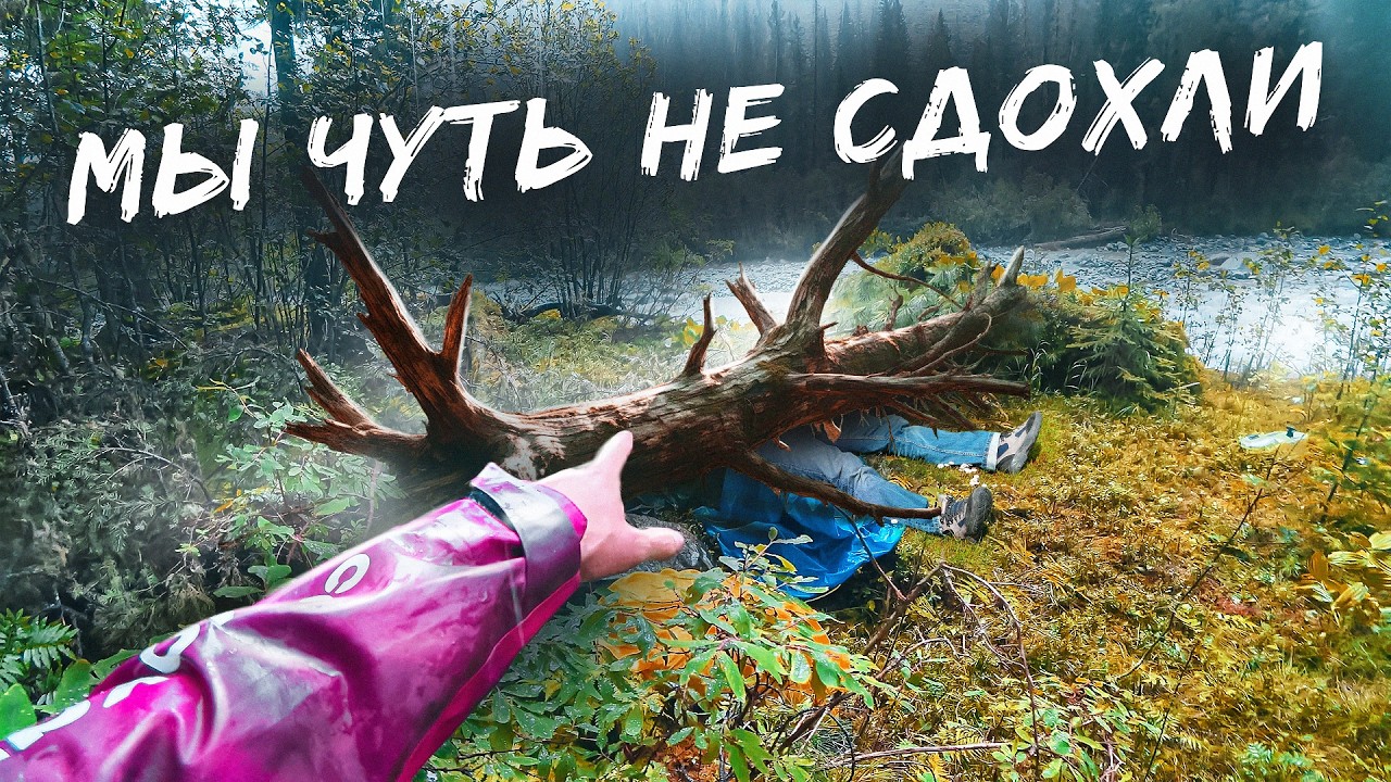 НЕ ХОДИ В ЛЕС ПОКА НЕ ПОСМОТРИШЬ ЭТО ВИДЕО. ПАРНИ ПОШЛИ И ЧУДОМ НЕ СДОХЛИ.