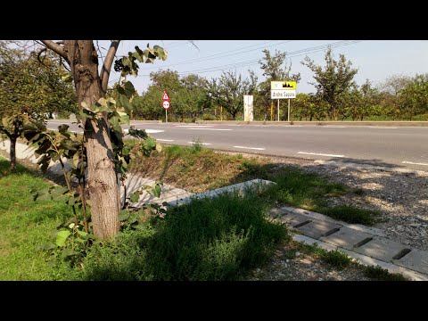 Către Andrei Șaguna, la pas, pornind din Zimandu Nou🚶 To Andrei Șaguna, walking