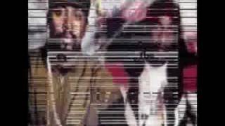 Eric B. &amp; Rakim - Follow the Leader traducida español.avi