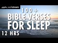 Bible Verses For Sleep | 100+ Healing Scriptures with Soaking Music | Audio Bible | 12 HRS (2020)