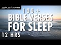 Bible Verses For Sleep | 100+ Healing Scriptures with Soaking Music | Audio Bible | 12 HRS