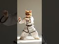 El Arte Del Tai Chi Serenidad Felina En Movimiento Taichi Cat Cute Shorts Fantasy Meditacion