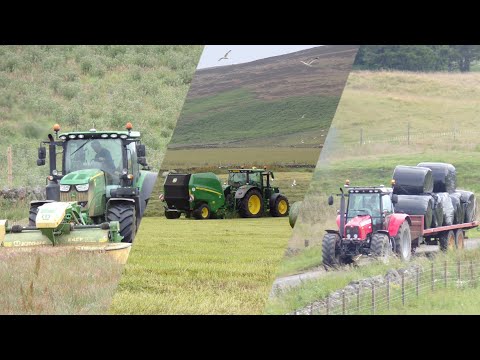Silage 2023 - Mowing, Baling, Wrapping & Carting