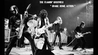 The Flamin'Groovies" Shake some action"
