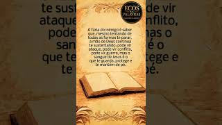Glória a Deus! #deus #biblia #fe #jesus #mensagem #gratidão #oração #versiculododia #louvor #fyp