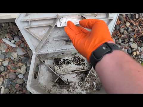 Following Up on the Mice Activity in Spotswood, NJ