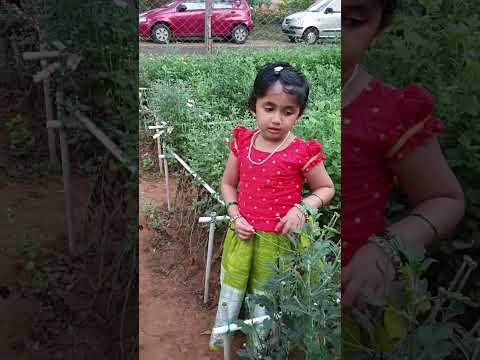 Midhuna at Bridhavanam