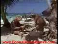 The Blue Lagoon