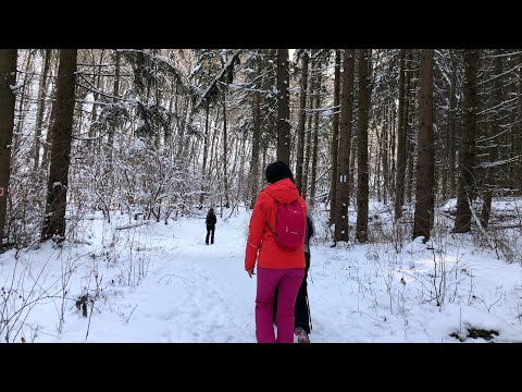 O tura scurta prin Faget