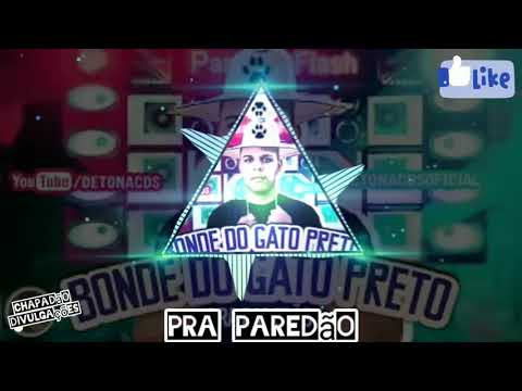 NOVINHO DE 17 - BONDE DO GATO PRETO E MC CAROL DE NITERÓI ( ANO QUE VEM )  COM- GRAVE