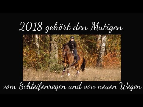 2018 gehört den Mutigen - Vom Schleifenregen und von neuen Wegen - Unser Jahresrückblick