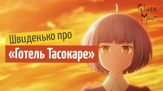 Швиденько про «Готель Тасокаре »