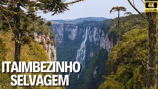 Cânion Itaimbezinho | Natureza Indomável no Extremo Sul do Brasil - Documentário