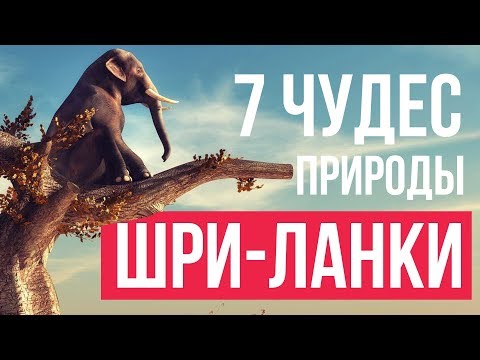 7 чудес природы Шри-Ланки. Путешествие на незабываемый остров Синхараджа, Адамов пик, Сигирия