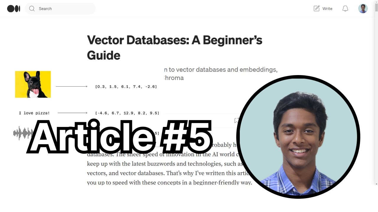 Vector Databases - A Beginner's Guide