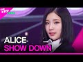 ALICE SHOW DOWN 앨리스 SHOW DOWN THE SHOW 230425