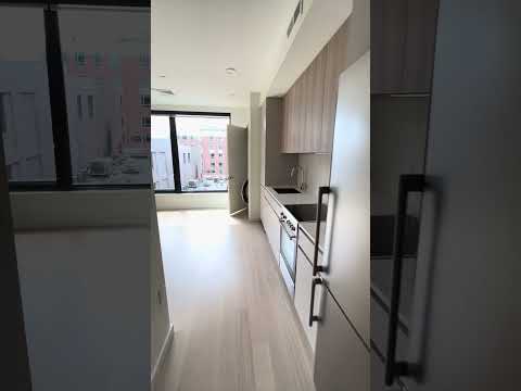 Video of 21-35 West 2nd St., Unit 205, Boston, MA 02127
