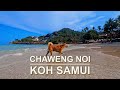 Stop At Red Flag Simply Marvellous When The Flag Is White Chaweng Noi Koh Samui Thailand 4K