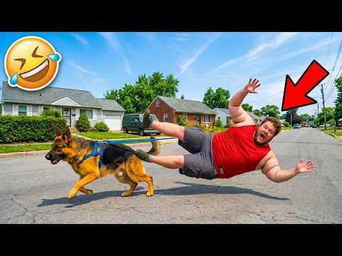 Ultimate TRY NOT TO LAUGH 🤣 Top 100 Funniest Viral Videos Ever 😂 | Comedy Clips 2026 TV
