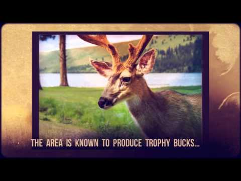 Archive 66 Video thumbnail