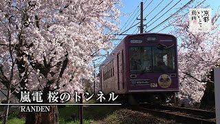 ホーム | グッズオンラインショップ＆イベント情報