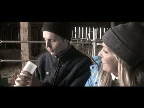 Fredrik Holm fick över 300 brev - Bonde söker fru (TV4)