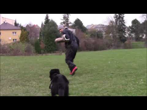 Yanosch z Jukasu - protection - 6-7 months