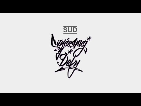 Saučesnici u delu - SUD