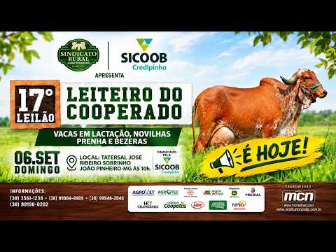 🐮🇧🇷 17º LEITEIRO DO COOPERADO - SINDICATO RURAL DE JOAO PINHEIRO - MG