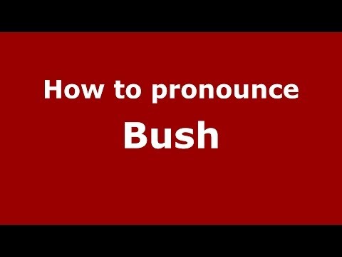 How to pronounce Bush