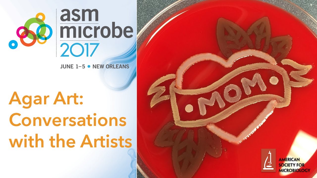 Agar Art: Conversation with Caitlin Cahak at at Microbe 2017