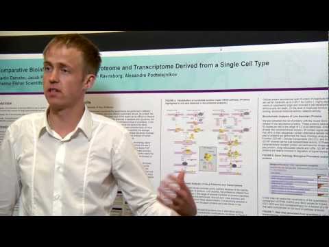 Comparative Bioinformatic Analysis of Proteome and Transcriptome Derived from a Single Cell Type