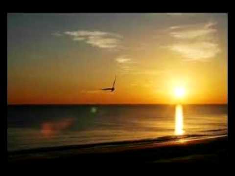 AS VREA ISUS - Darius Iordanescu