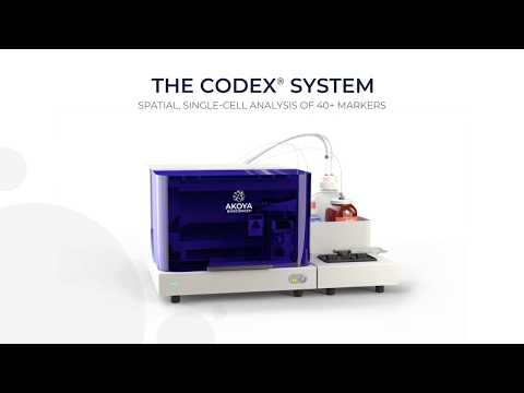 Understanding the PhenoCycler (formerly CODEX®) Technology