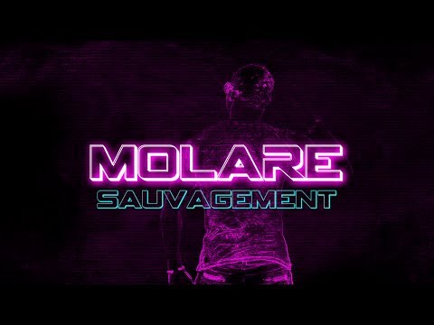 Clip MOLARE "Sauvagement" Officiel HD