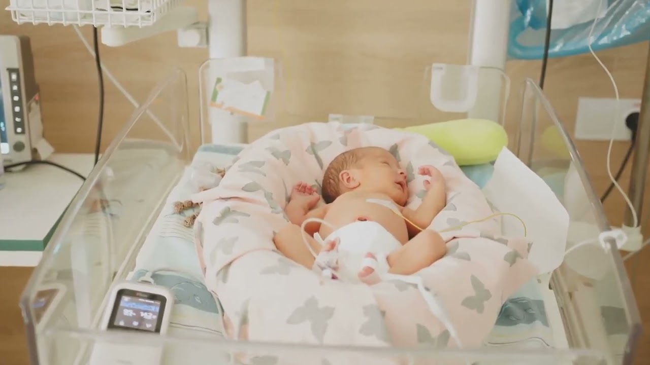 Bio 10 a Understanding Natural Selection  Evolution Explained