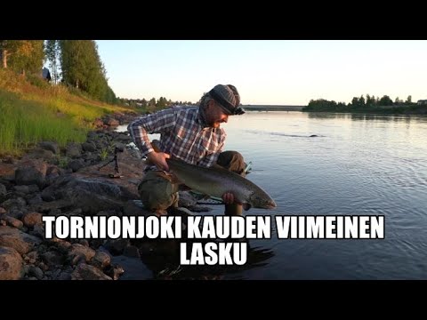 Kalastus. Lohensoutua, kauden viimeinen lasku.