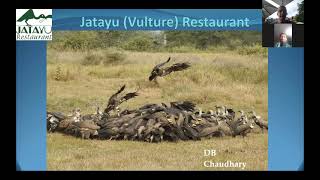 Vulture and Buffer Zone Community Forest Conservation a Twenty Year Effort